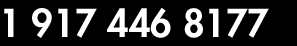+1 917 446 8177